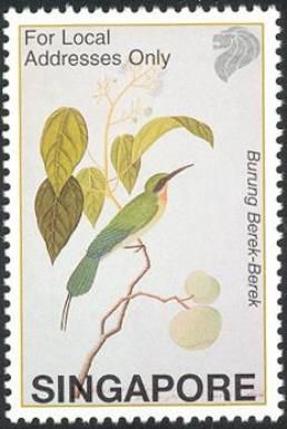 Blue-tailed Bee-eater (Merops philippinus)