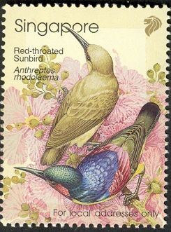Red-throated Sunbird (Anthreptes rhodolaema)