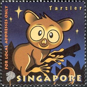 Tarsier