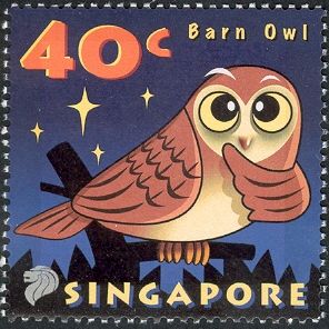 Barn Owl