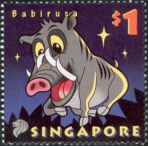Babirusa