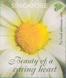 Beauty of a caring heart