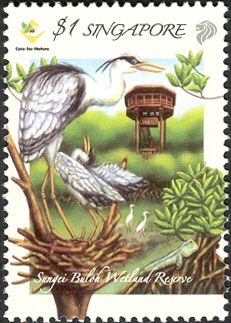Sungei Buloh Wetland Reserve