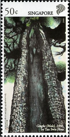 Gingko (Male)