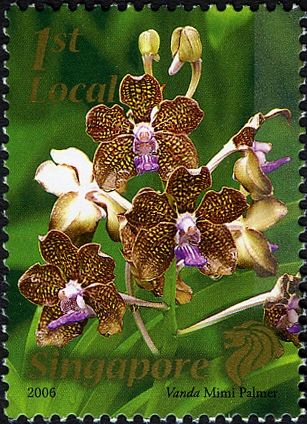 Vanda Mimi Palmer