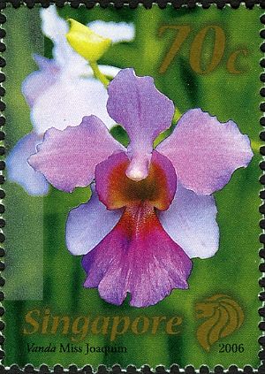Vanda Miss Joaquim