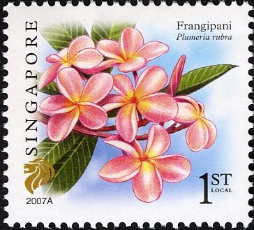 Frangipani (Plumeria rubra) 2007A Imprint