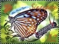 Blue Glassy Tiger (Ideopsis vulgaris)