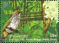 Straw-Headed Bulbul (Pycnonotus zeylanicus) and Canopy Walk