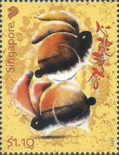 Year of the Rabbit