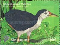 White-breasted Waterhen (Amaurornis phoenicurus)
