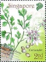 Coriander & Satay