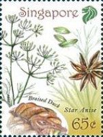 Star Anise & Braised Duck