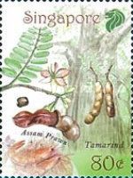 Tamarind & Assam Prawn