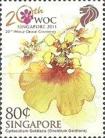 Cyrtocidium goldiana