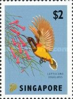 Yellow-Bellied Sunbird (Leptocoma jugularis)