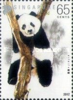 Giant Panda (Ailuropoda melanoleuca)