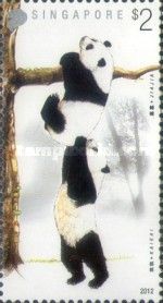 Giant Panda (Ailuropoda melanoleuca)