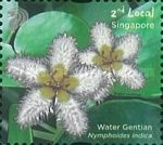 Water Gentian (Nymphoides indica)
