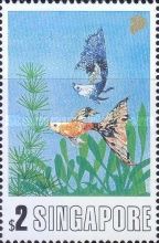Guppies