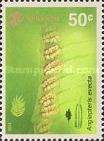 Angiopteris evecta