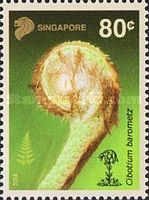 Cibotium barometz