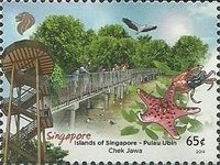 Chek Jawa