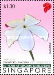Jasmine