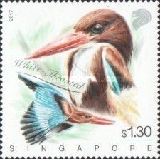 White-throated Kingfisher (Halcyon smyrnensis)