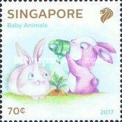 Baby Bunnies