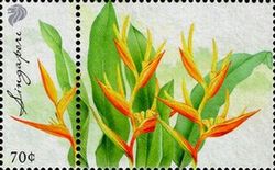 Torch Ginger