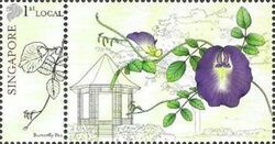 Butterfly Pea (Clitoria ternatea)