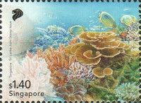 Coral Reef, Sri Lanka