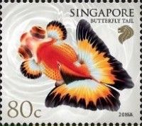 Butterfly Tail (2021C Imprint)