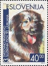 3. World Championship of trained dogs. Karstic Shepherd