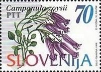 Campanula zoysii