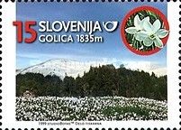 Golica (1835 m)