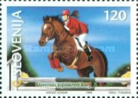 Slovenian warm-blooded horse
