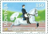 Lipizzaner