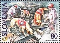 Rescue Dogs