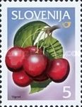 Cherry Fruits