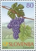 Žametovka