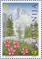 Jalovec (2645 m) and Triglav Flower