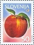 Redhaven Peach