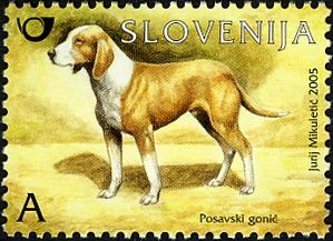 The Posavec Hound