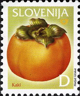 Persimmon Fruit