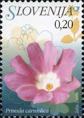 Carniolan Primrose (Primula carniolica)