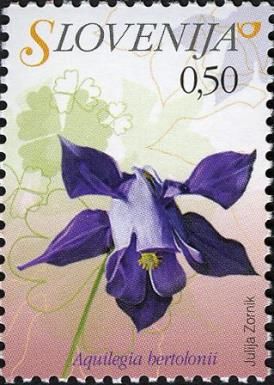 Bertulini Columbine (Aquilegia bertolinii)