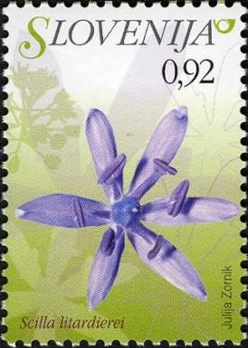 Meadow Squill (Scilla litardierei)