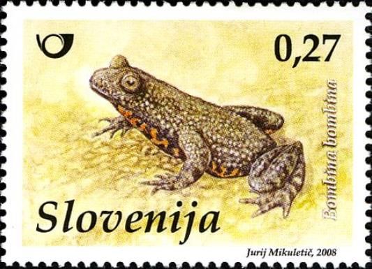 Fire-bellied Toad (Bombina bombina)